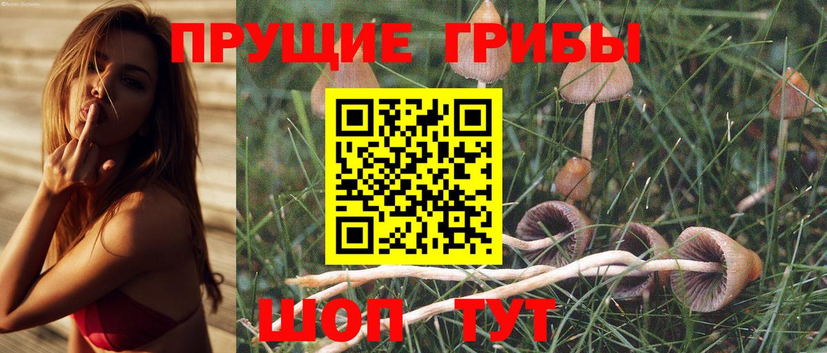 Лабытнанги  Псилоцибиновые грибы Psilocybine cubensis  Галлюциногенные грибы ЛСД  магазин    Вход с VPN 
